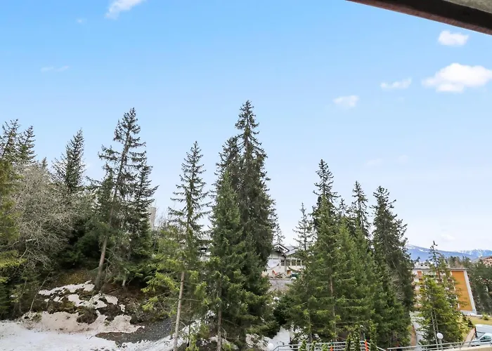 Chaleureux Et Paisible Appartement Crans-Montana